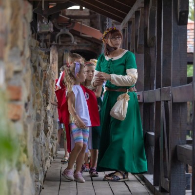 Zamek Stara Baśń w Grybowie